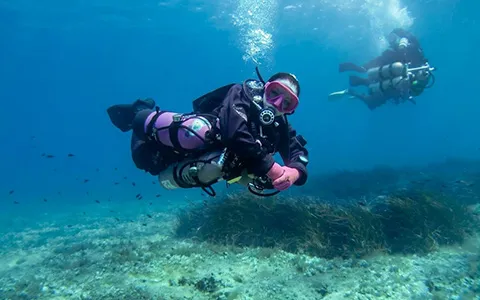ESSENTIAL TEK DIVER